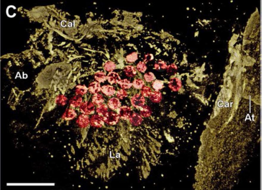 1588237704239513.jpg 图片2.jpg