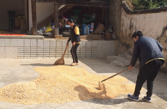 1603955091419657.jpg 微信图片_20201027144515802.jpg