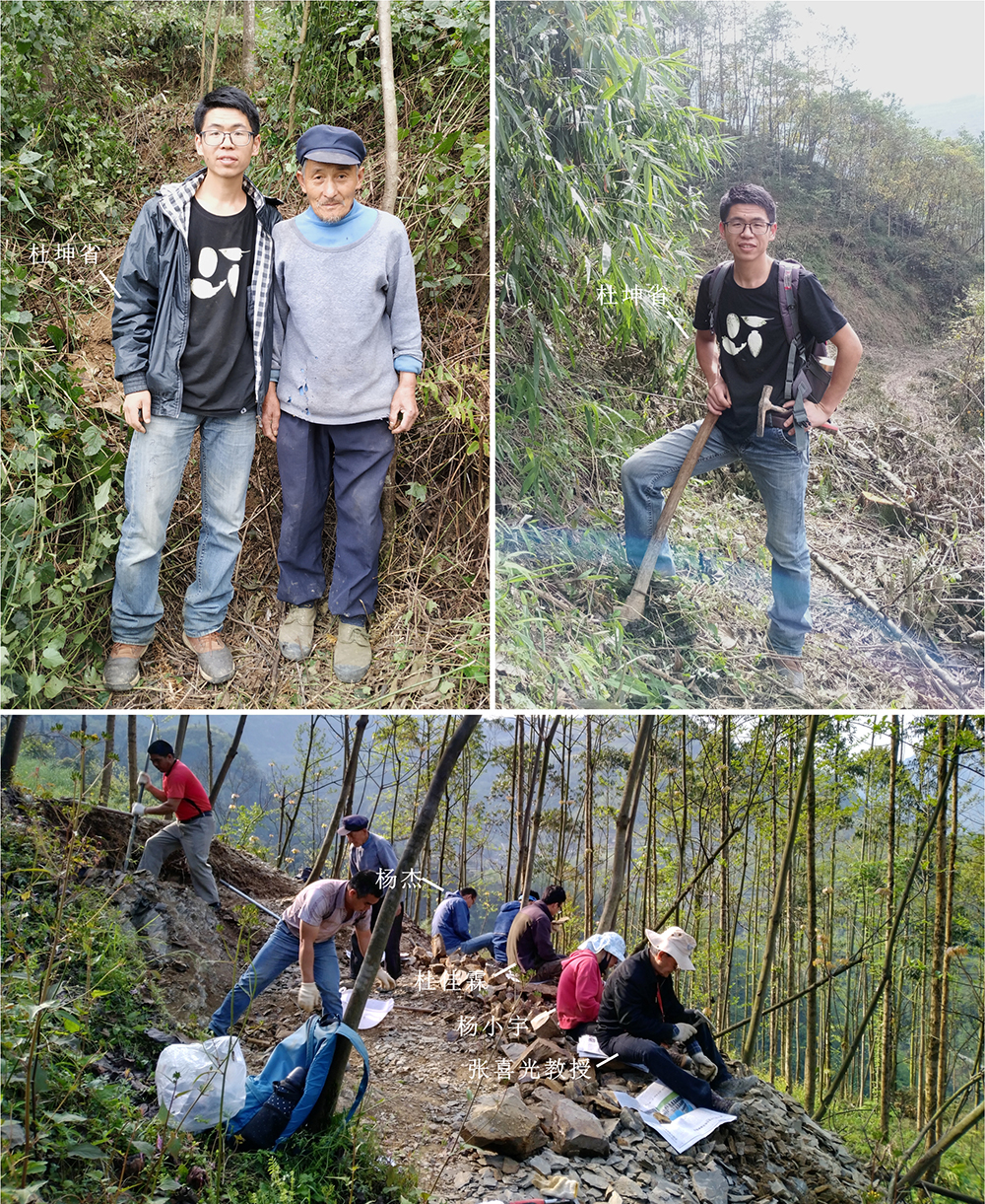 1603802138512955.jpg 1603802138512955.jpg