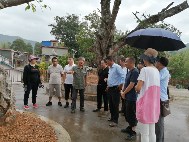 1592186984710173.jpg 1592186984710173.jpg