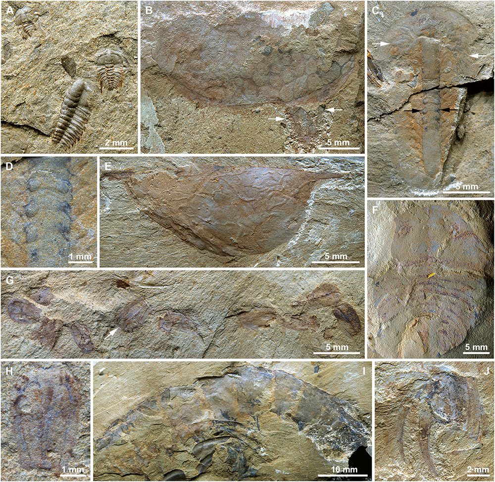 1603802250719689.jpg 1603802250719689.jpg