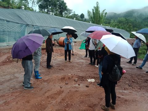 1597925357920001.jpg 1597925357920001.jpg