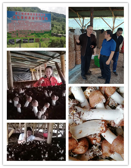 1597927850390664.jpg 1597927850390664.jpg