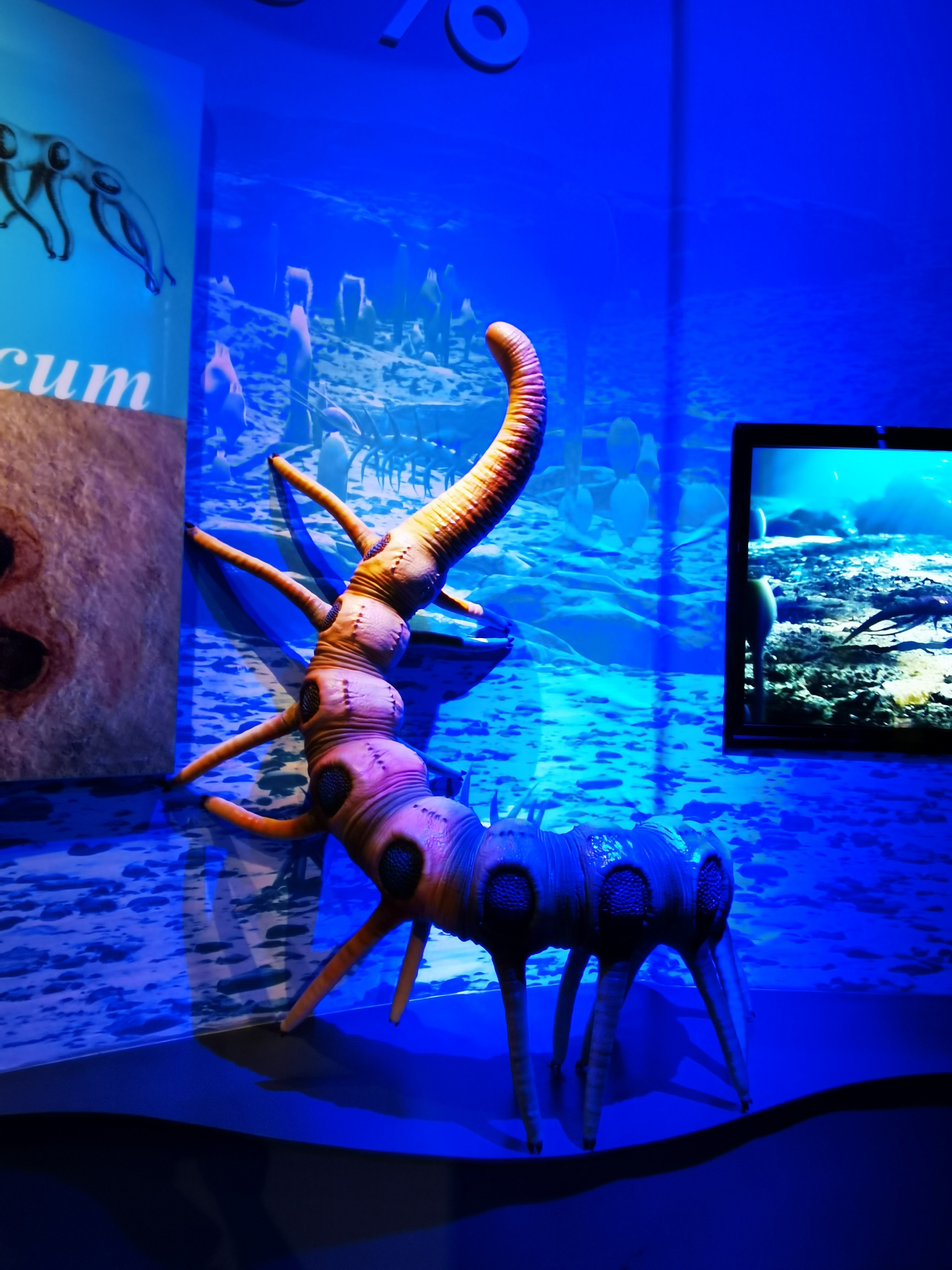 1720352184413343.jpg?x-oss-process=style/w10 1720352184413343.jpg?x-oss-process=style/w10